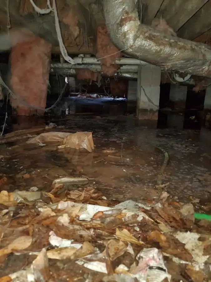 Crawl space flood assessment for Leak Detection & Repair in Cedar Hills